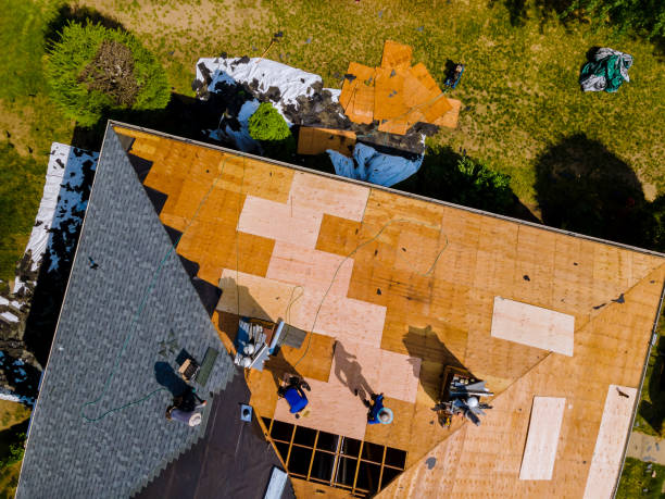 Best Storm Damage Roof Repair  in Hackberry, TX