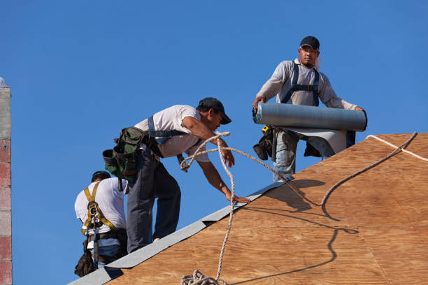 Best Gutter Installation and Roofing  in Hackberry, TX